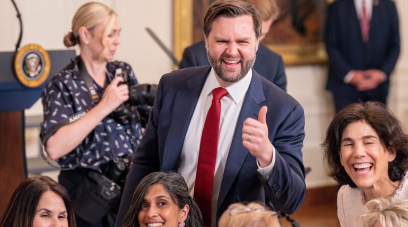 J.D. Vance Reportedly Schemed for Months to Get Trump and Musk Back Together